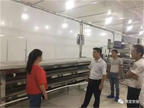 北京貴州米粉廠里的“金融夜?！?一碗粉背后的社會經(jīng)濟咨詢服務